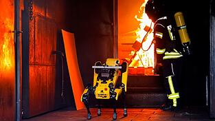 Informatiker wollen Roboter «Byte» den Umgang mit Flammen beibringen.