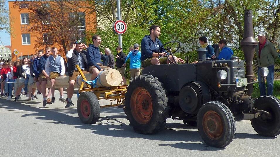 Ein prächtiger, 28 Meter hoher Maibaum ziert die Ortsmitte in Gangkofen. Ein prächtiger, 28 Meter hoher Maibaum ziert die Ortsmitte in Gangkofen.