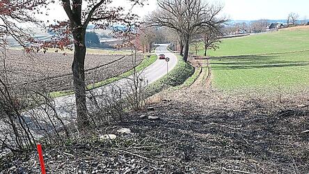 &Uuml;ber diese Kuppe erreichen die Radler und Fu&szlig;g&auml;nger k&uuml;nftig einmal von P&ouml;tzmes kommend das Gemeindegebiet Mainburg. Die B&auml;ume sind bereits gef&auml;llt. Die Realisierung l&auml;sst aber noch auf sich warten.