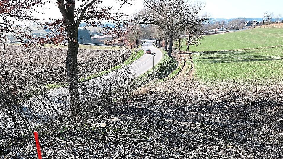 Über diese Kuppe erreichen die Radler und Fußgänger künftig einmal von Pötzmes kommend das Gemeindegebiet Mainburg. Die Bäume sind bereits gefällt. Die Realisierung lässt aber noch auf sich warten. Über diese Kuppe erreichen die Radler und Fußgänger künftig einmal von Pötzmes kommend das Gemeindegebiet Mainburg. Die Bäume sind bereits gefällt. Die Realisierung lässt aber noch auf sich warten.