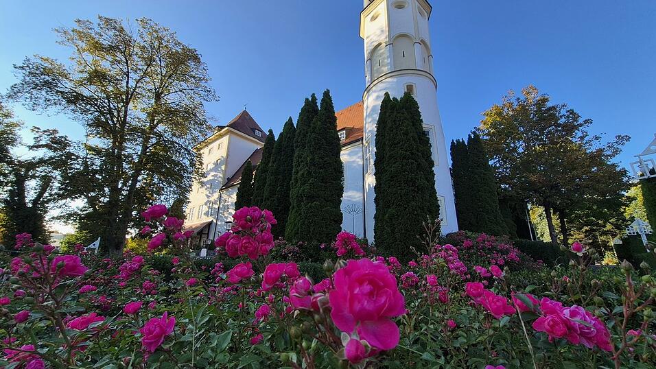 Das Motiv für August von Stefanie Wieser.