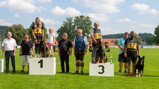 Spitzenleistungen der Teams waren auf dem Sportgelände der SSV Pfeffenhausen zu bewundern. Spitzenleistungen der Teams waren auf dem Sportgelände der SSV Pfeffenhausen zu bewundern.