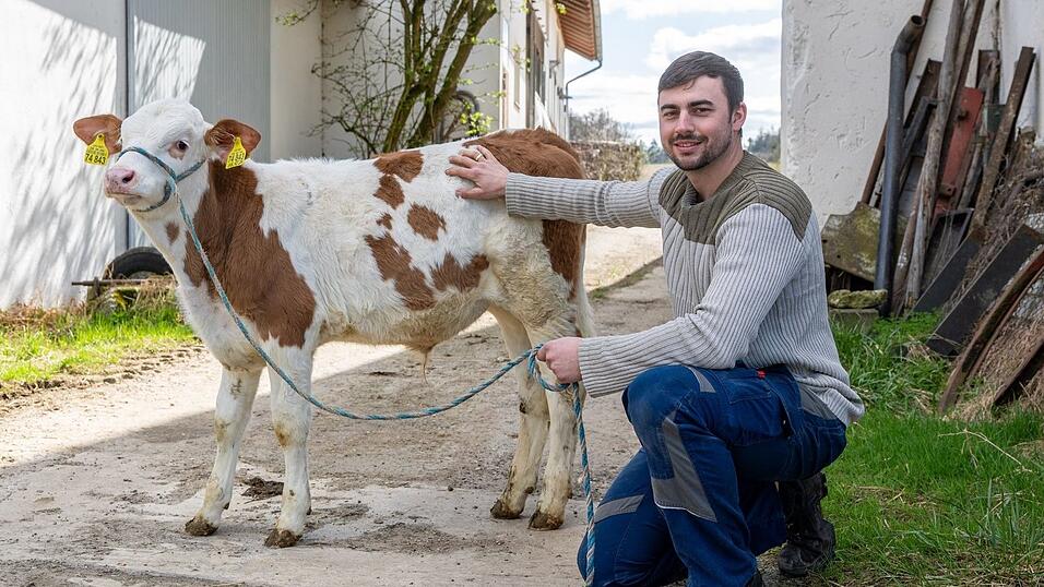 Johannes Brandhuber betreibt auf dem seit Generationen bestehenden Hof Rindermast - eine Kuh verschluckte seinen Ehering.