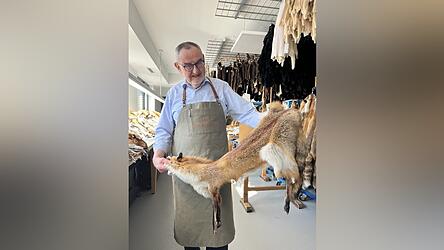 Gesch&auml;ftsf&uuml;hrer Leonhard Hofstetter pr&auml;sentiert eines seiner Rotfuchsfelle.