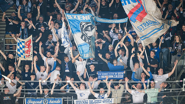 Großes Lob an die Straubinger Fans. Heute sind wieder super viele Anhänger nach Berlin gereist! Super Unterstützung! Großes Lob an die Straubinger Fans. Heute sind wieder super viele Anhänger nach Berlin gereist! Super Unterstützung!