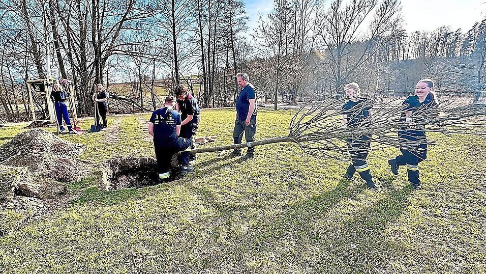 Unter Anleitung von Stadtg&auml;rtner Stefan Ege wurde der Baum auf dem Gartenschau-Gel&auml;nde errichtet.