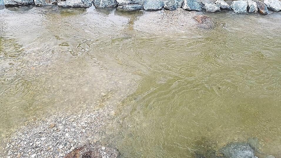 Nasen und Barben brauchen stabile Kieslaichpl&auml;tze, die von Flusswasser durchstr&ouml;mt werden.