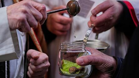 Die Tradition der katholischen Tiersegnung geht auf das Mittelalter zur&uuml;ck. Fr&uuml;her lie&szlig;en die Bauern ihr Vieh segnen, heute sind es vor allem St&auml;dter, die ihre Lieblinge immer an einem 17. Januar, dem Fest von San Ant&oacute;n, dem Schutzeiligen der Tiere, zur Kirche tragen.