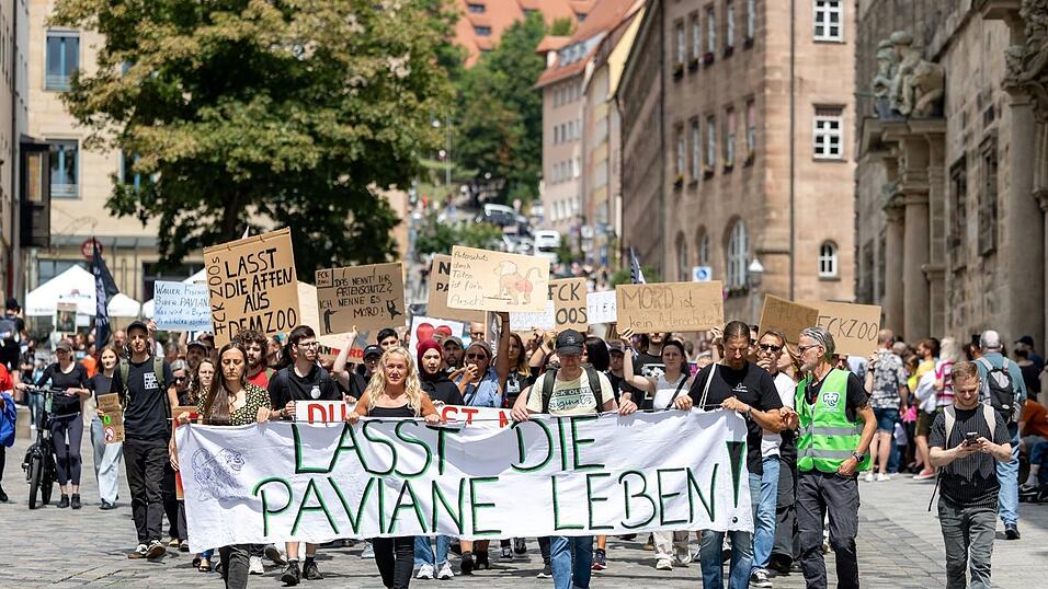 Tiersch&uuml;tzerinnen und Tiersch&uuml;tzer protestierten im vergangenen Jahr wiederholt gegen die Pl&auml;ne des Tiergartens, einzelne Paviane aus Platzmangel zu t&ouml;ten. (Archivbild)