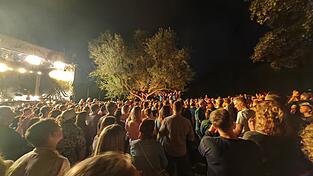 Das Konzert der Band Pam Pam Ida Ende Juli war ausverkauft. Mehr als 1.200 begeisterte Besucher waren auf der&nbsp;Schwedenwiese der Burg Trausnitz live mit dabei.