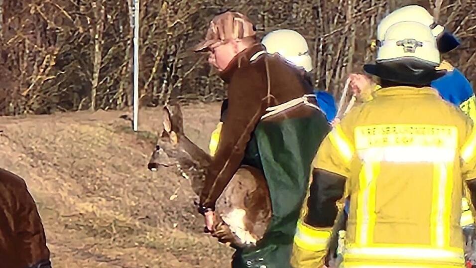 Nach erfolgreicher Rettung wurde das junge Reh an J&auml;ger &uuml;bergeben, die sich um die weitere Versorgung und das Aufp&auml;ppeln des Tieres k&uuml;mmern.