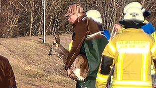 Nach erfolgreicher Rettung wurde das junge Reh an J&auml;ger &uuml;bergeben, die sich um die weitere Versorgung und das Aufp&auml;ppeln des Tieres k&uuml;mmern.