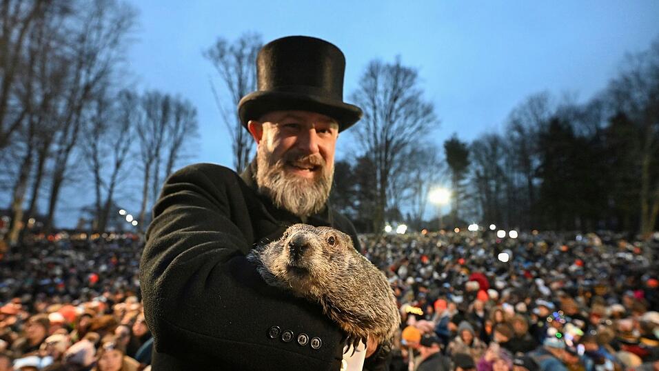 Punxsutawney Phil, das wettervorhersagende Murmeltier, hat sechs weitere Wochen Winterwetter vorausgesagt. Punxsutawney Phil, das wettervorhersagende Murmeltier, hat sechs weitere Wochen Winterwetter vorausgesagt.