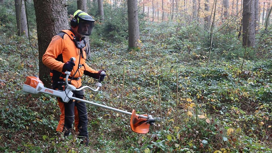 Die Waldpflege erfordert viel Zeit und Arbeit. Die Waldpflege erfordert viel Zeit und Arbeit.