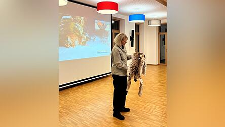 Sogar ein echtes Luchsfell hatte Sybille W&ouml;lfe zur Veranschaulichung mitgebracht - sie kannte das Tier, das an einem nat&uuml;rlichen Tod gestorben ist, pers&ouml;nlich.