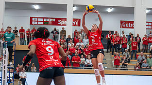 Auf Raben-Zuspielerin Pia Fernau (am Ball) wird gegen NawaRo Straubing wieder eine Menge Arbeit zukommen. Gemeinsam mit ihren Teamkolleginnen um Crystal Burk (Nummer 9) will sie nach der Pleite in Stralsund wieder punkten.