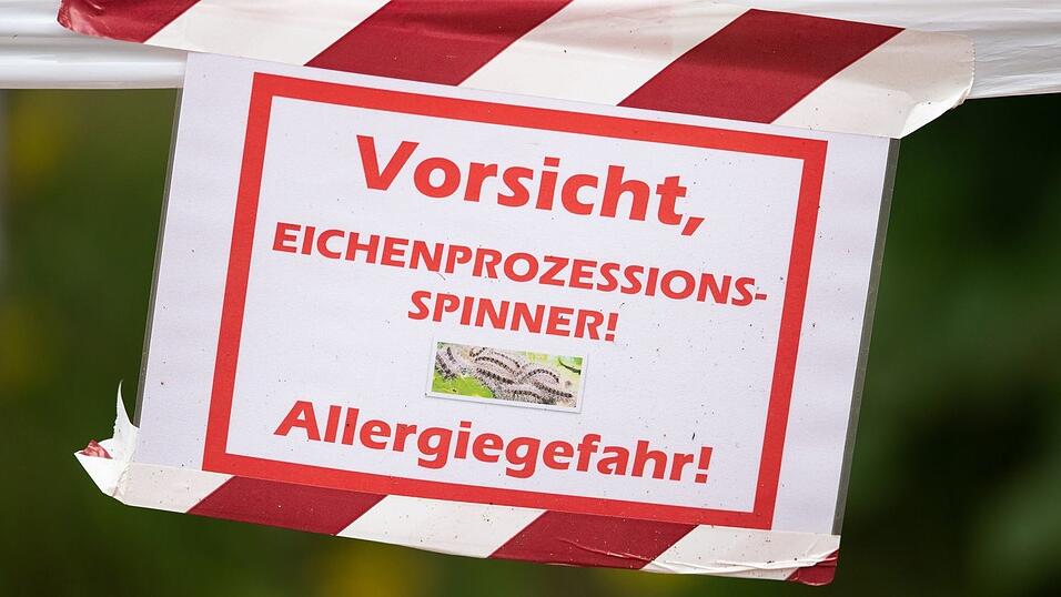 Die können schwere allergische Reaktionen, Hautreizungen und Atembeschwerden auslösen. (Archivbild) Die können schwere allergische Reaktionen, Hautreizungen und Atembeschwerden auslösen. (Archivbild)