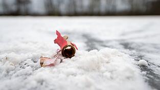 Im Dezember waren sich die Innenminister von Bund und L&auml;ndern bei einem Treffen in Bremen nicht einig &uuml;ber ein B&ouml;llerverbot geworden. (Archivfoto)
