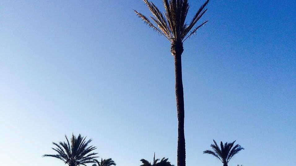 Lisa war auf der Insel Ibiza. (Foto: privat)