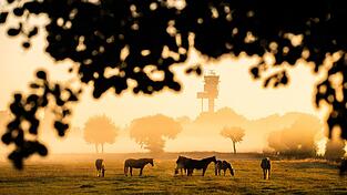 Nachdem sich die morgendliche Kühle verzogen hat, wird es wieder Sommer. Nachdem sich die morgendliche Kühle verzogen hat, wird es wieder Sommer.