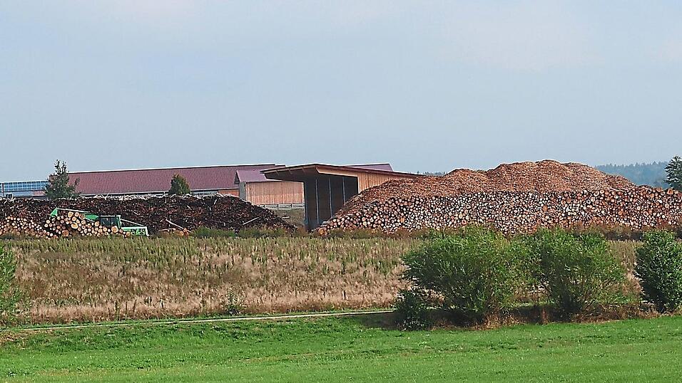 Berge voller Holz lagern aktuell in Sch&ouml;nthal. Ein Ergebnis der K&auml;ferkalamit&auml;t dieses Jahr.
