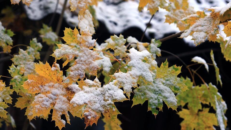 Der Winter löst den Herbst ab. (Archivbild)