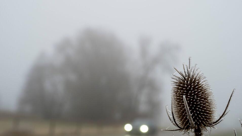 Tr&uuml;bes Wetter bestimmt den Samstag in weiten Teilen des Freistaats. (Archivbild)