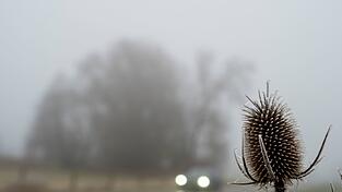 Tr&uuml;bes Wetter bestimmt den Samstag in weiten Teilen des Freistaats. (Archivbild)