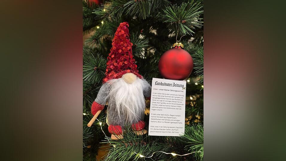 Im LZ-Leserservice ist ab sofort die kostenlose Wichtel-Zeitung erhältlich.