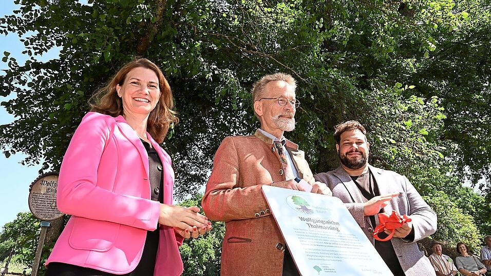 Mit der Ernennungstafel für die Eiche: (von links) Landrätin Tanja Schweiger, Professor Andreas Roloff und Thalmassings Bürgermeister Raffael Parzefall nach der Enthüllung der offiziellen Ernennungstafel.