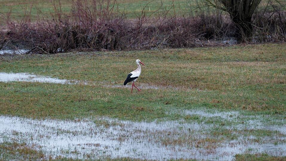 Die Woche startete nass und ungem&uuml;tlich.