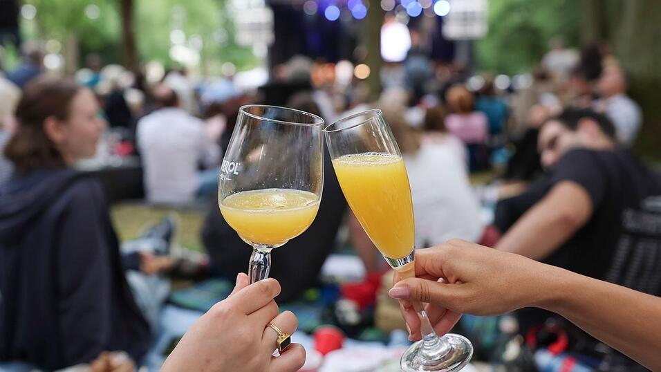 Picknick im Bayreuther Festspielpark beim Open Air. (Archivbild)