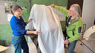 Noch ist die Skulptur verhüllt. Beim Michaelimarkt am 28. September ist das Kunstwerk im Atelier 13 zu sehen, Künstlerin Lucia Mirlach und Bernd-Jochen Lindner-Haag vom Bund Naturschutz freuen sich schon darauf.