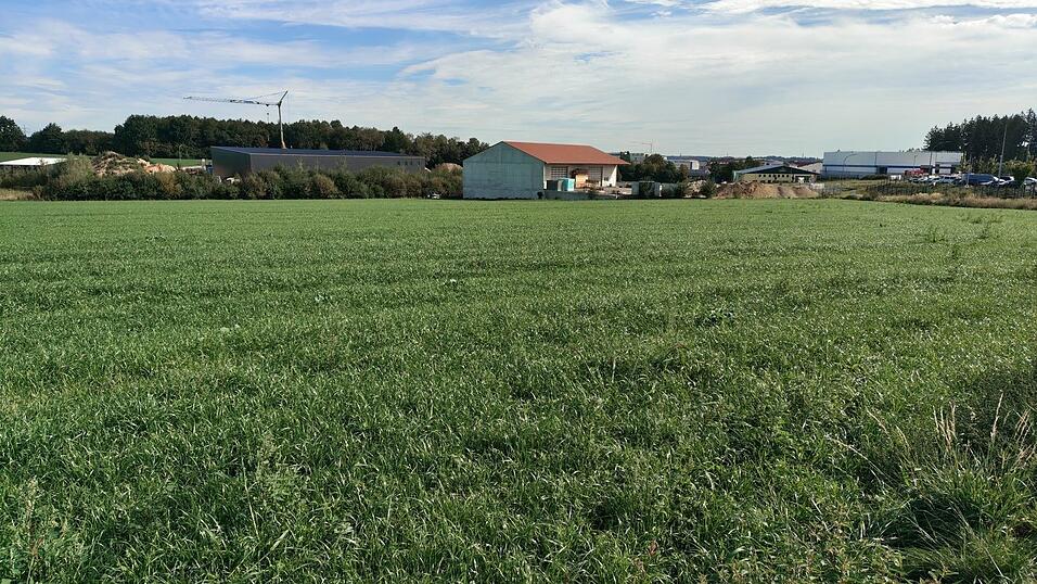 Noch ist es eine Wiese - zukünftig soll hier das Gewerbegebiet Baumgartenstraße erweitert werden. Noch ist es eine Wiese - zukünftig soll hier das Gewerbegebiet Baumgartenstraße erweitert werden.