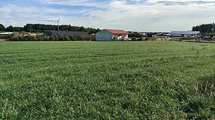 Noch ist es eine Wiese - zukünftig soll hier das Gewerbegebiet Baumgartenstraße erweitert werden. Noch ist es eine Wiese - zukünftig soll hier das Gewerbegebiet Baumgartenstraße erweitert werden.