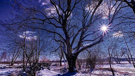 Der Schnee verwandelt den Loitersdorfer Steg in eine zauberhafte Wintermärchenlandschaft. Wenn die Temperaturen vor Kälte klirren, sich eine weiße Decke über den bunten Herbst gelegt hat und die Tage mit wenigen Stunden auskommen müssen, ist die Wintersonne von unschätzbarem Wert.