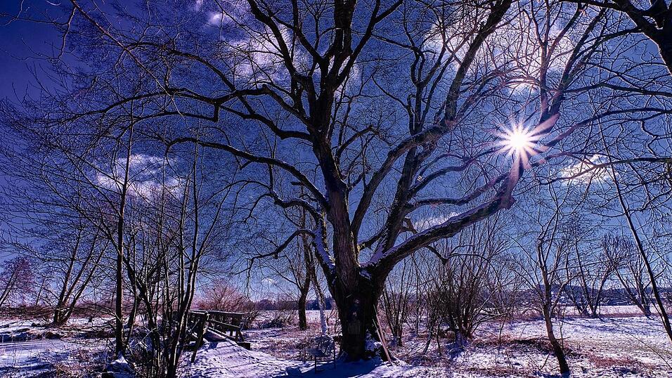 Der Schnee verwandelt den Loitersdorfer Steg in eine zauberhafte Winterm&auml;rchenlandschaft. Wenn die Temperaturen vor K&auml;lte klirren, sich eine wei&szlig;e Decke &uuml;ber den bunten Herbst gelegt hat und die Tage mit wenigen Stunden auskommen m&uuml;ssen, ist die Wintersonne von unsch&auml;tzbarem Wert.