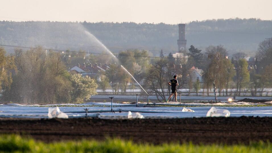 Im Knoblauchsland wird mit Flusswasser bew&auml;ssert. (Archivbild)