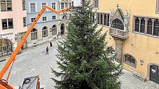 Alle Jahre wieder wird vor dem Alten Rathaus ein Weihnachtsbaum aufgestellt. Diesmal kommt die Tanne aus Wenzenbach. Alle Jahre wieder wird vor dem Alten Rathaus ein Weihnachtsbaum aufgestellt. Diesmal kommt die Tanne aus Wenzenbach.