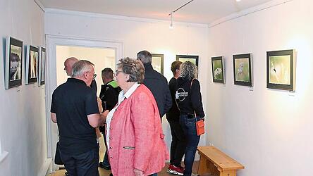 Highlight des vergangenen Jahres war für den Photoclub eine toll besuchte Jahresfotoschau. Highlight des vergangenen Jahres war für den Photoclub eine toll besuchte Jahresfotoschau.