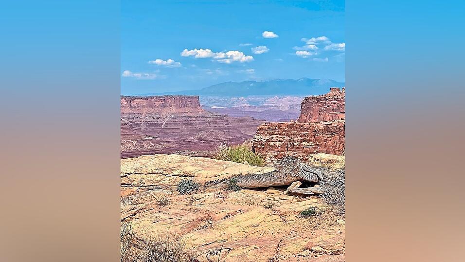 Das Ziel in der Traumreise: eine W&uuml;ste &auml;hnlich zu dieser.