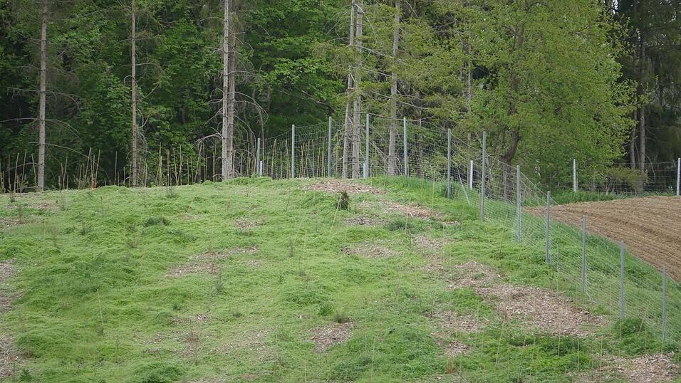 Hier war der mutma&szlig;liche Wolf unterwegs.