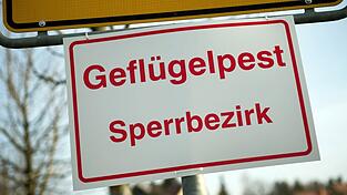 In einem Gänsemastbetrieb im Landkreis Dingolfing-Landau ist die Geflügelpest nachgewiesen worden (Archivbild).