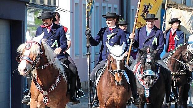 Bei der Further Reiterprozession wird es sicherlich auch heuer wieder viele pr&auml;chtig herausgeputzte Tiere zu sehen geben.
