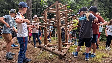 Teamwork beim Bl&auml;tterangeln: Hier gilt es, die Bl&auml;tter am Boden &bdquo;aufzuangeln&ldquo; und der richtigen Baumart am Ger&uuml;st zuzuordnen.