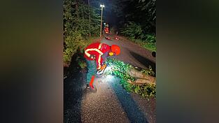 Die Einsatzkr&auml;fte waren bis nach Mitternacht im Dauereinsatz. Foto: FFW Landshut