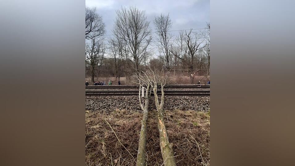 Bei Baumfällarbeiten bei Marzling fiel am Freitag ein Baum auf die Gleise.