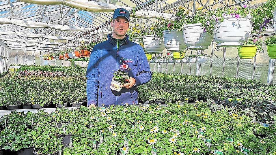 Michael Mühlbauer junior mit der 'Pflanze des Jahres 2020', der 'Rockin' Rosi', des Bayerischen Gärtnereiverbandes. Diese besondere Dahlie und viele weitere Blumen hat die Further Gärtnerei im Angebot. Michael Mühlbauer junior mit der 'Pflanze des Jahres 2020', der 'Rockin' Rosi', des Bayerischen Gärtnereiverbandes. Diese besondere Dahlie und viele weitere Blumen hat die Further Gärtnerei im Angebot.