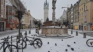 T&auml;gliches Stadtbild: Tauben suchen rund um den Jakobsbrunnen am Ludwigsplatz nach Futter.