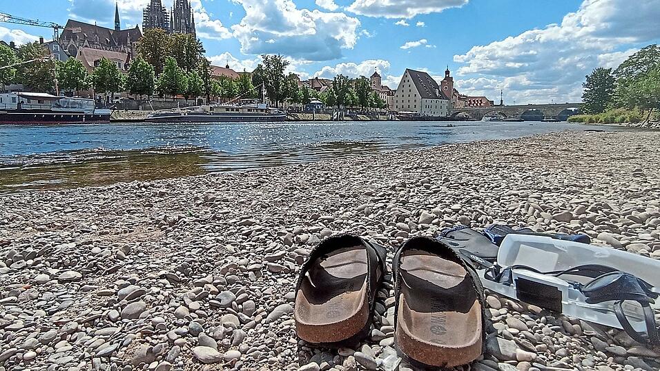 Die Regensburger lieben es, in Donau und Regen zu baden. Hier unterhalb der Steinernen Br&uuml;cke ist es aber eher gef&auml;hrlich.